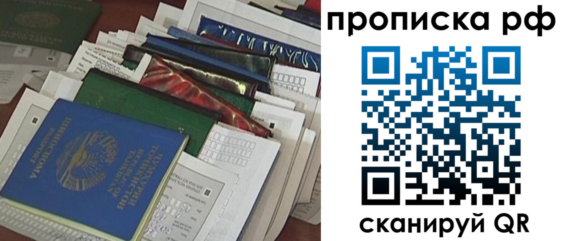 прописка в Северске